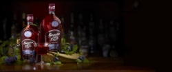 Sloemotion Damson Gin Liqueur